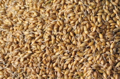 �c���鿴Ԕ��(x��)